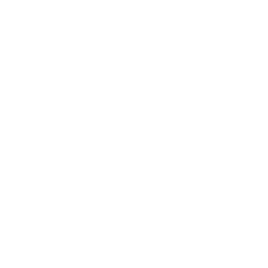 Frequently asked questions icon